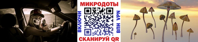 купить наркоту Пошехонье Галлюциногенные грибы мухоморы