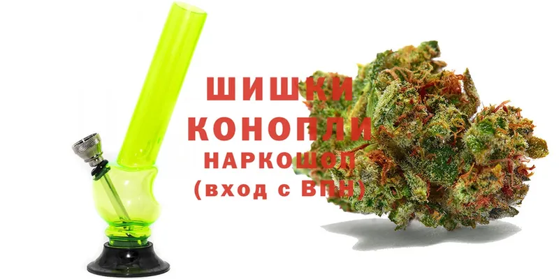 как найти   Пошехонье  Шишки марихуана White Widow 